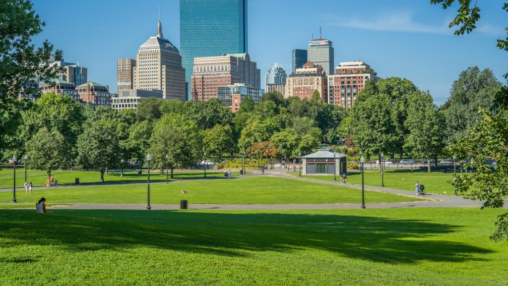 Boston skyline rising over green lawns and trees at Boston Common park on a sunny day