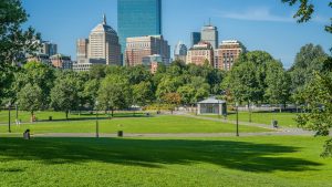 Boston skyline rising over green lawns and trees at Boston Common park on a sunny day