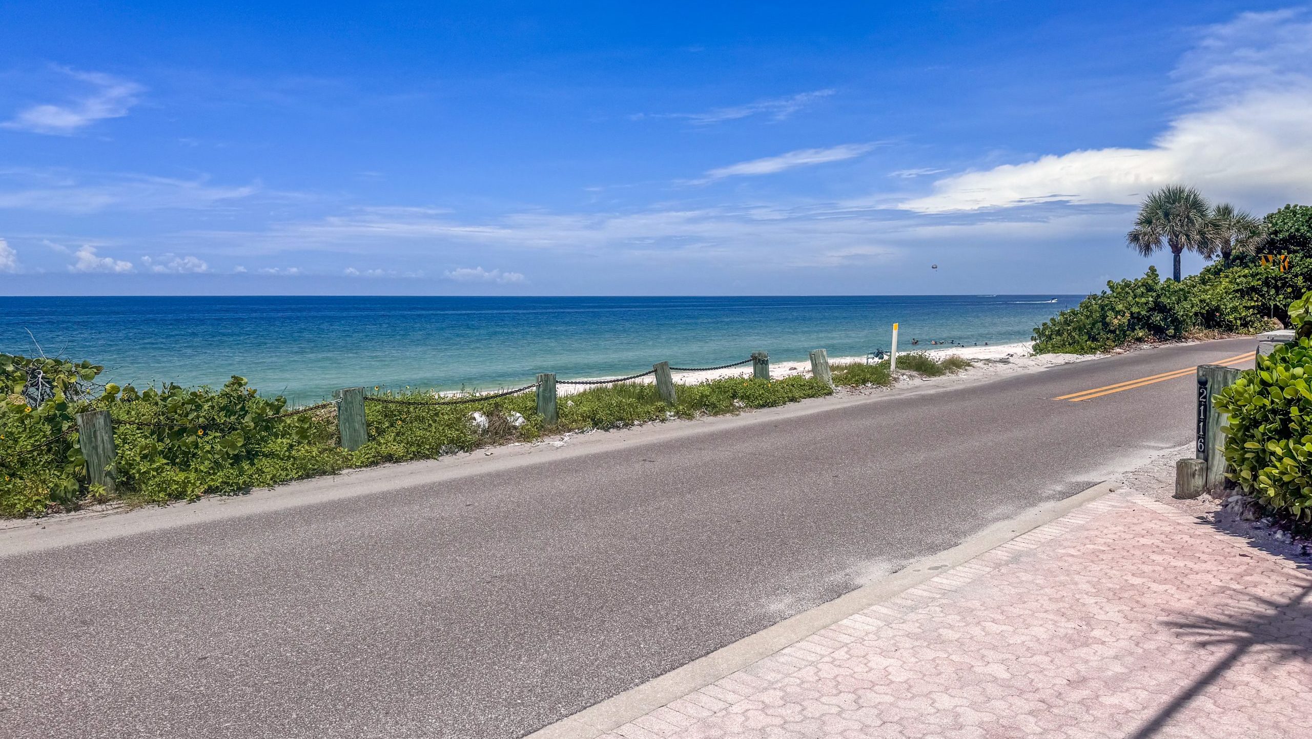 Paved coastal road along the ocean lined with palm trees and fence on Casey Key Florida