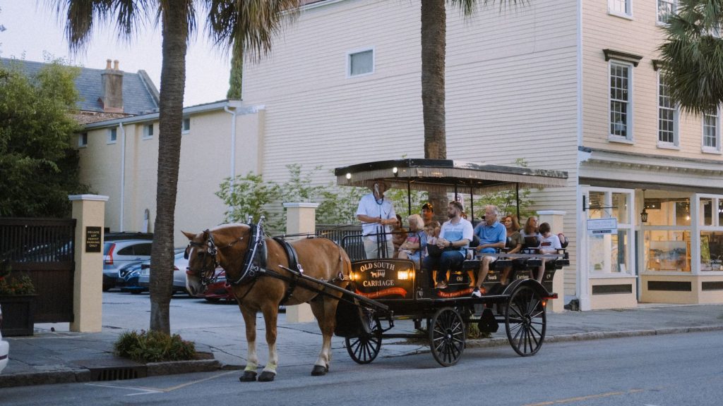 Horse-drawn carriage carrying tourists past historic pastel buildings and palm trees in Charleston, South Carolina